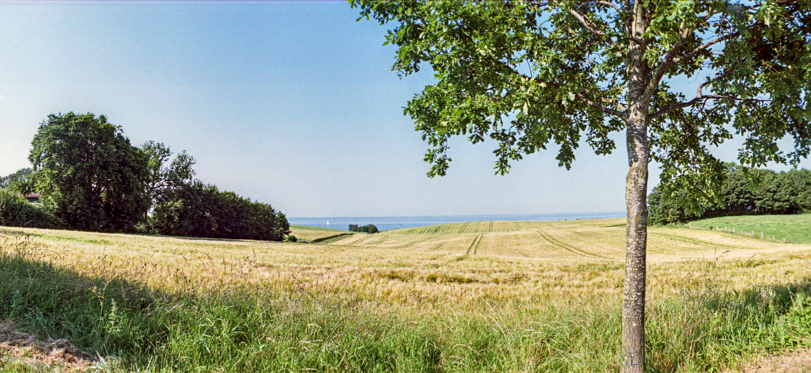 Blick auf die Ostsee